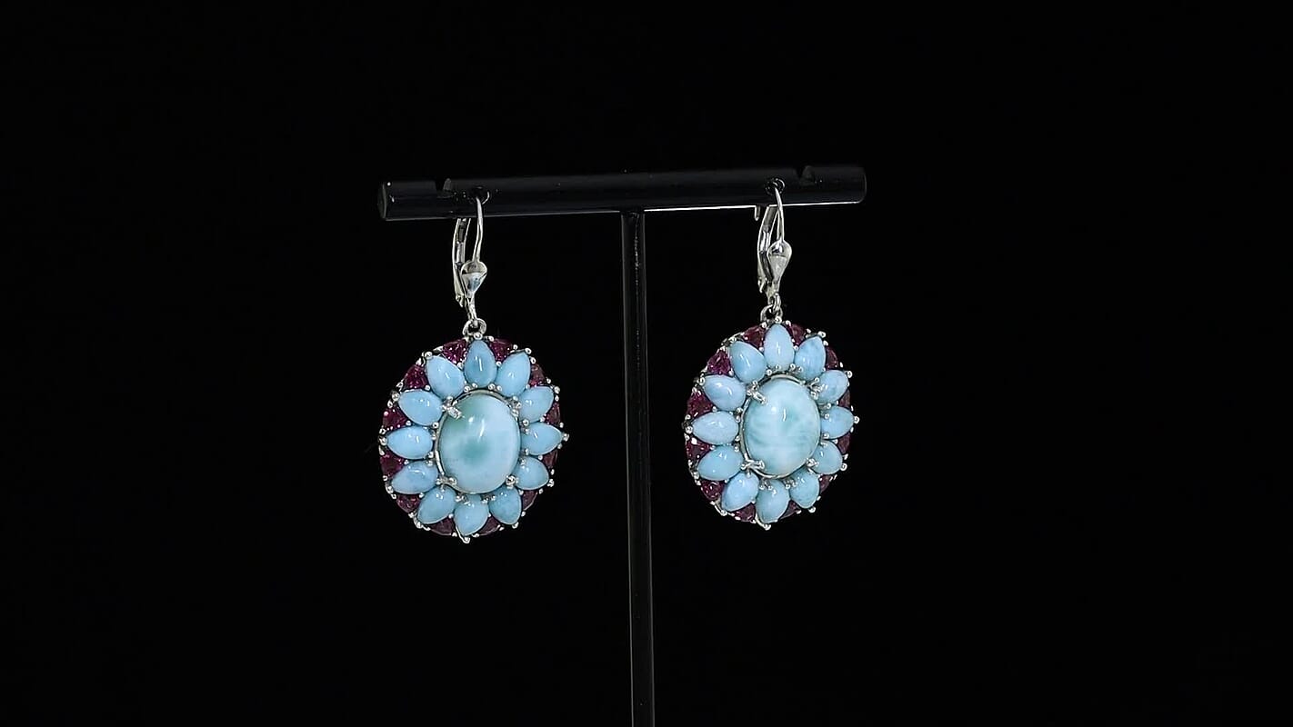 D'Joy Larimar, Orissa Rhodolite Garnet Earrings in Rhodium Over Sterling Silver 26.90 ctw