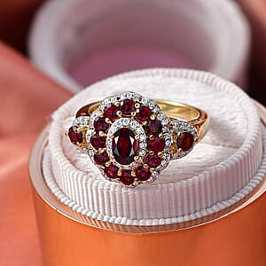 D'Joy Premium Anthill Garnet and Moissanite 2.40 ctw Crimson Bloom Ring in 18K Vermeil Yellow Gold Over Sterling Silver (Size 10.0)