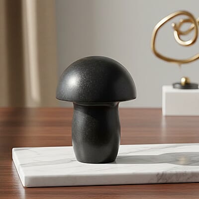 Basalt Mushroom -Large 650ctw