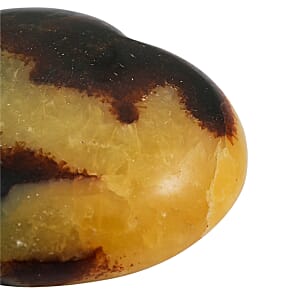 Septaria Heart Shape -Medium 847ctw