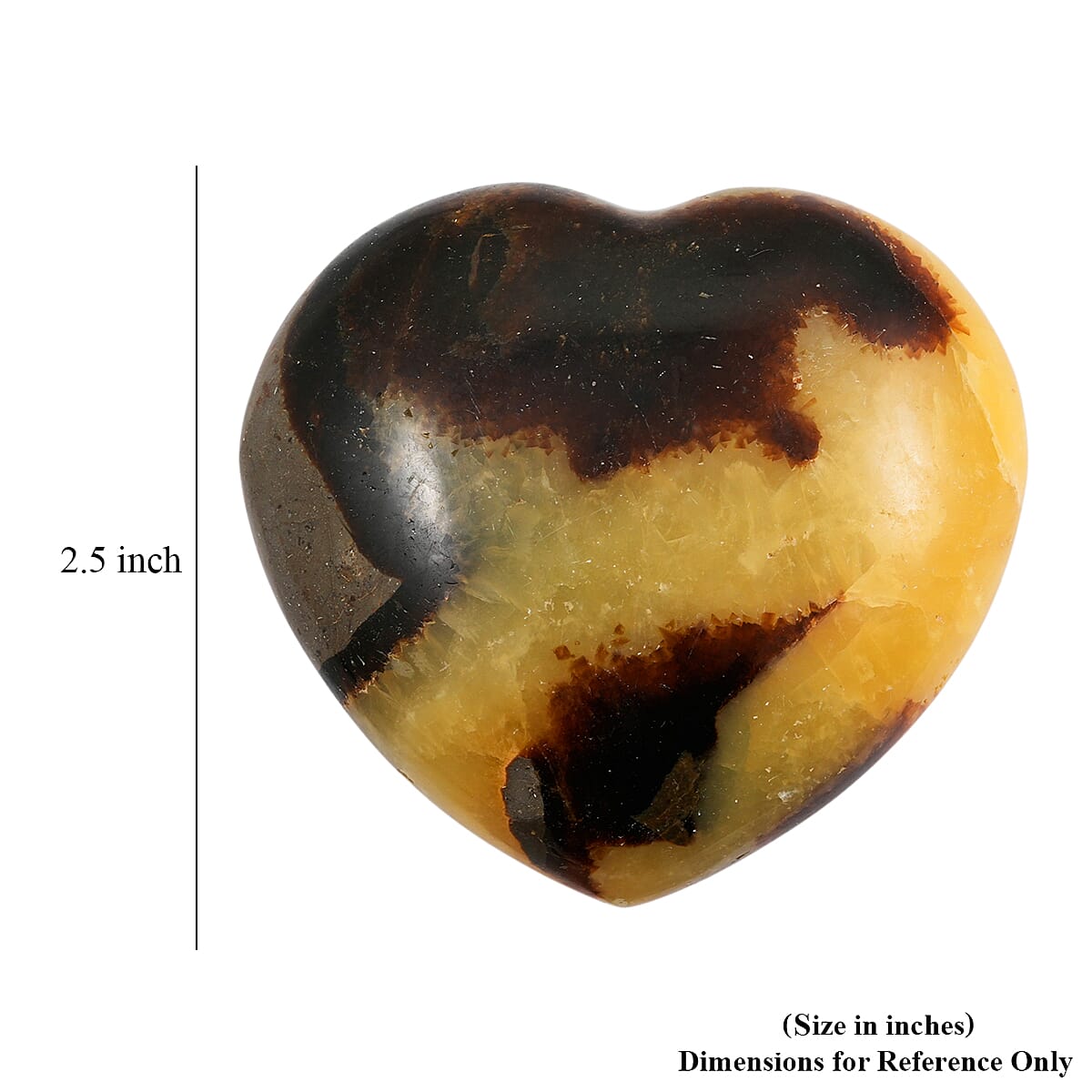 Septaria Heart Shape -Medium 847ctw image number 3