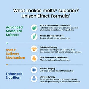 Wellbeing Nutrition Melts Into Instant Energy Green Tea Caffeine + Electroytes - Strawberry Mint