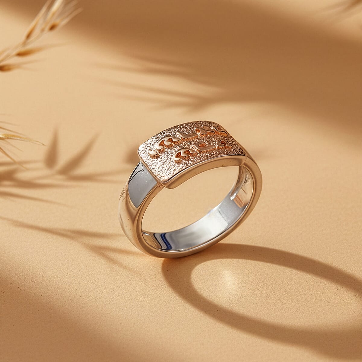 D'Joy Passport to Israel 18K Vermeil RG and Rhodium Over Sterling Silver Band Ring (Size 10.0) image number 1