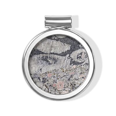 Round Insect Fossil Jasper 48.00 ctw Tube Pendant without Chain in Silvertone