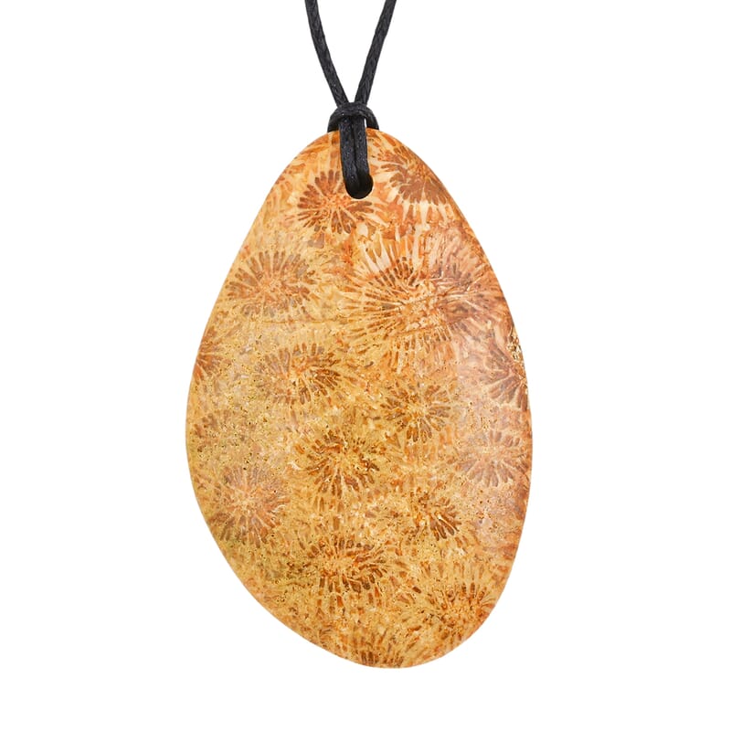 Freeform Hand Polished Coral Fossil Jasper 64.00 ctw with Adjustable Black Cord Necklace