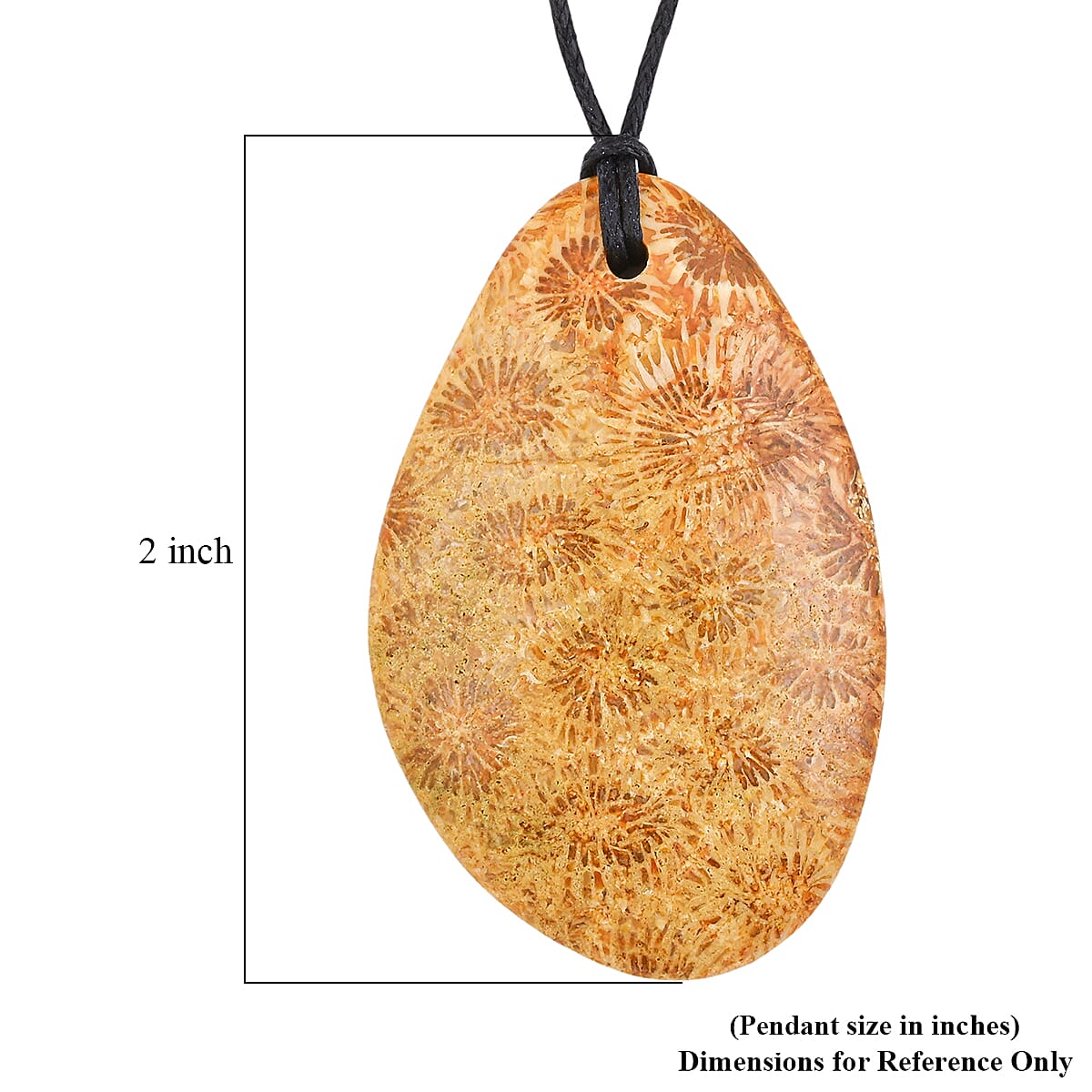 Freeform Hand Polished Coral Fossil Jasper 64.00 ctw with Adjustable Black Cord Necklace image number 5