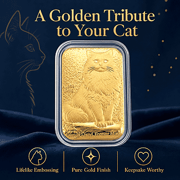 24K Yellow Gold Cat Emboss Sheet 31x45.5mm (10mg) - Product card gallery slide 3 (10178436628793)