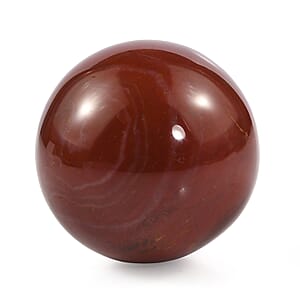 Petrified Wood Sphere Freeform 485.00 ctw