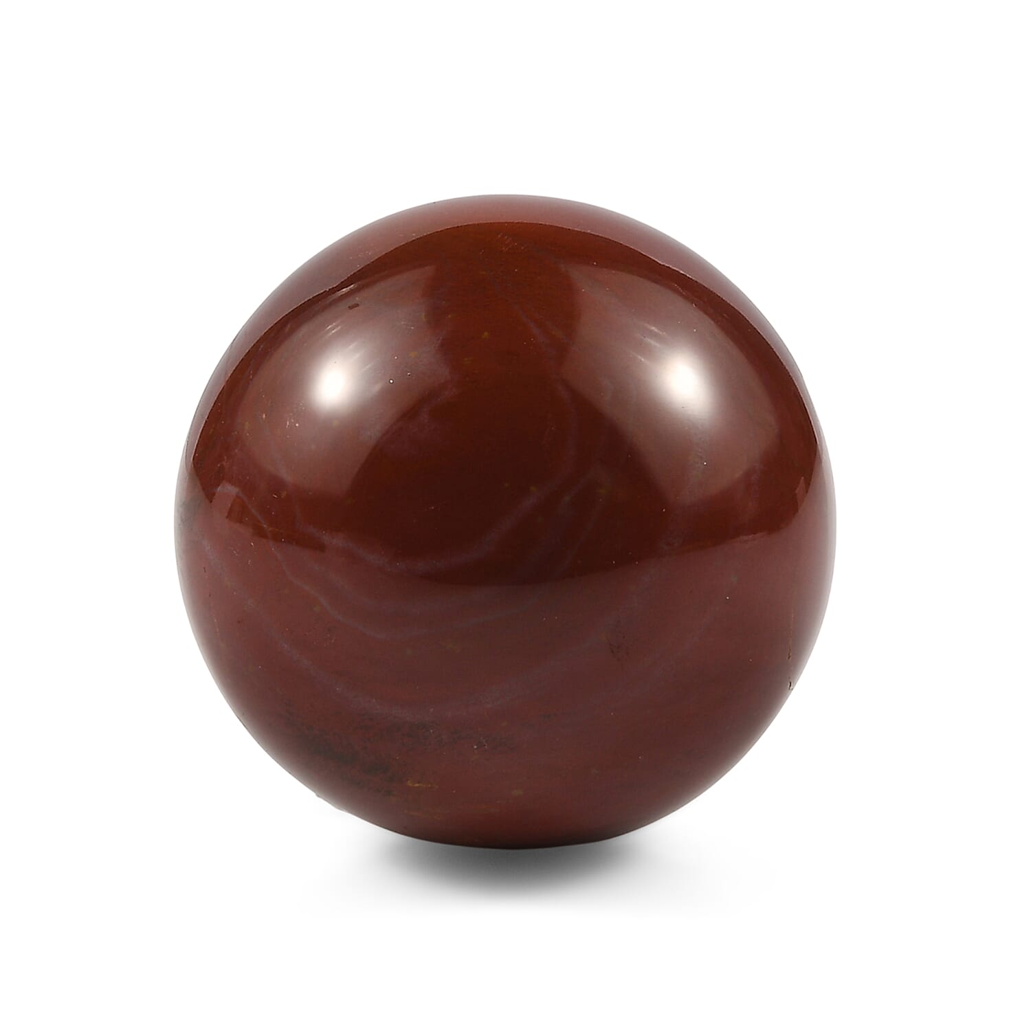 Petrified Wood Sphere Freeform 485.00 ctw