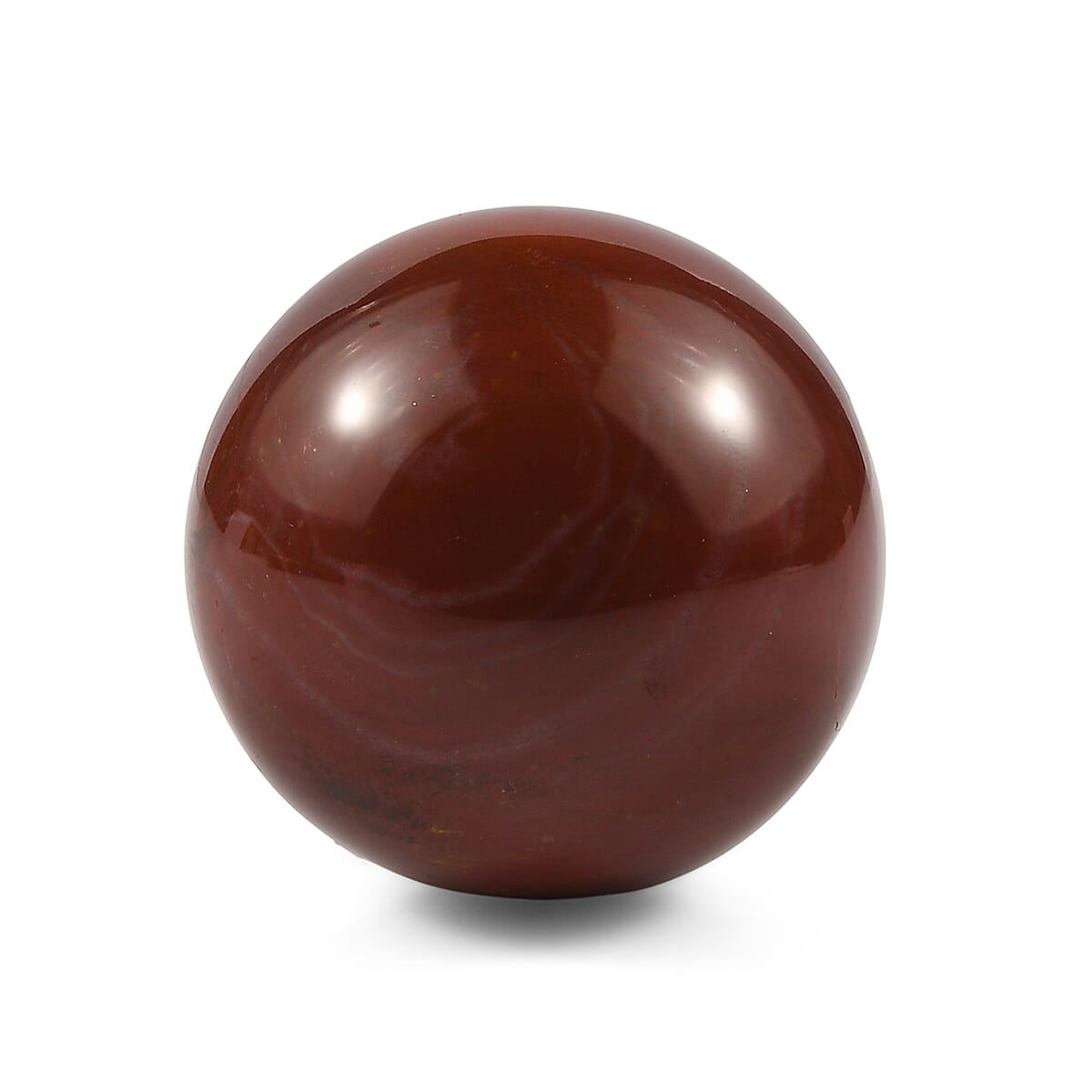 Petrified Wood Sphere Freeform 485.00 ctw image number 1