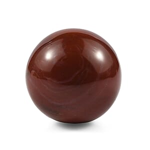 Petrified Wood Sphere Freeform 485.00 ctw