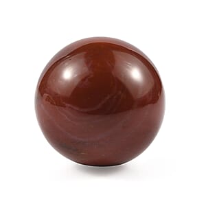 Petrified Wood Sphere Freeform 485.00 ctw