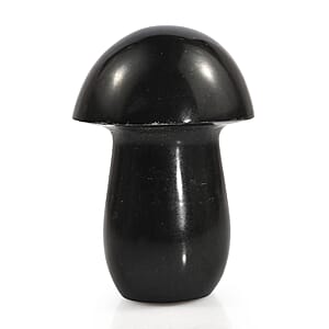 Australian Black Tourmaline Mushroom Freeform 411.00 ctw