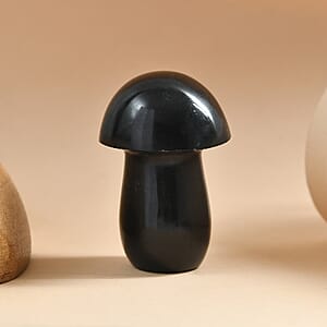 Australian Black Tourmaline Mushroom Freeform 411.00 ctw