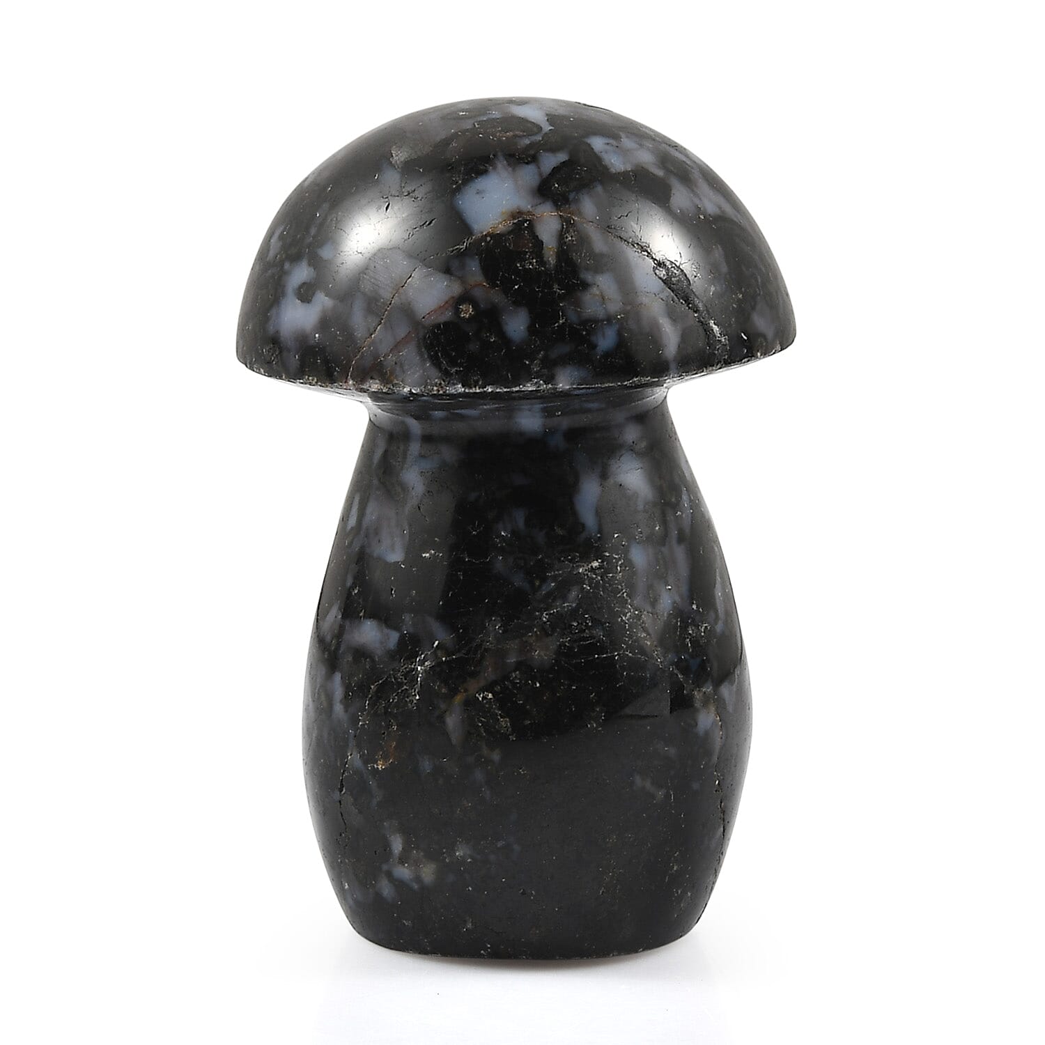Gabru Jasper Mushroom Freeform 900.00 ctw