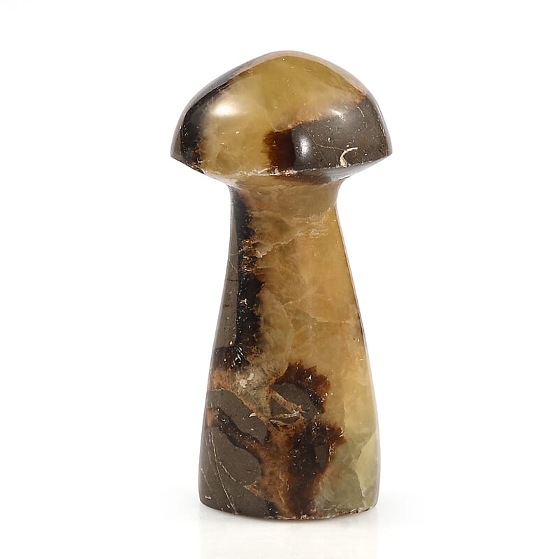 Septaria Mushroom Freeform 78.00 ctw