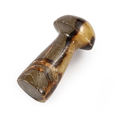 Septaria Mushroom Freeform 78.00 ctw