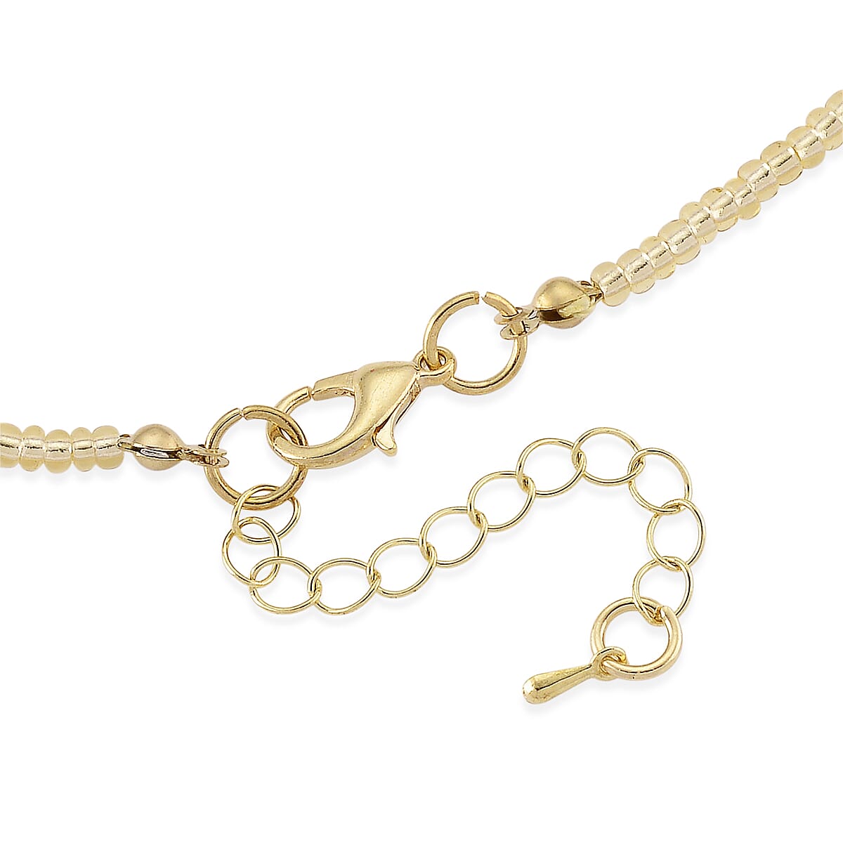 Resin, Multi Color Glass Necklace with Dry Flowers Filled Heart Charms in Goldtone (20-22Inches) image number 4