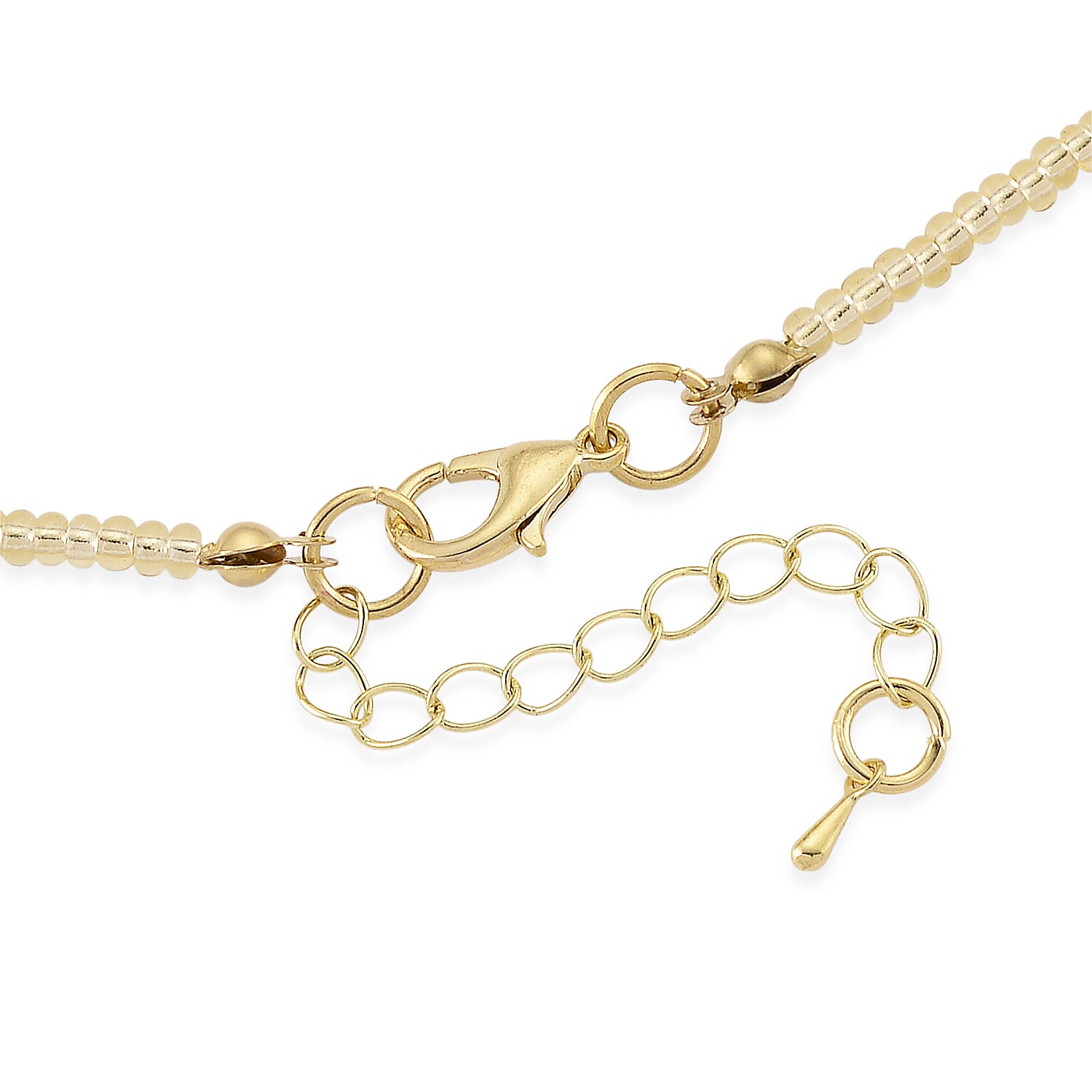 Resin, Multi Color Glass Necklace with Dry Flowers Filled Round Charms in Goldtone (20-22Inches)