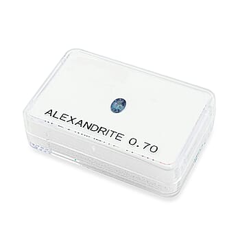 Default Title - Product card gallery slide 3 (10178462318905)