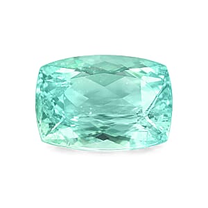 Certified & Appraised AAAA Paraiba Tourmaline (Cush Free Size) With Free Paraiba Book 1.00 ctw