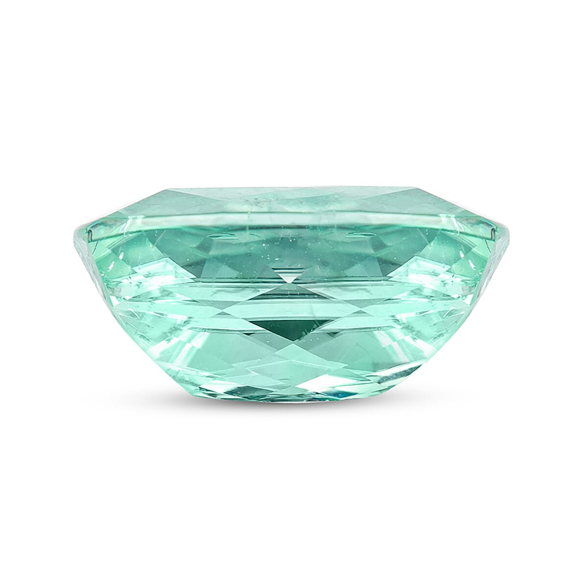 Certified & Appraised AAAA Paraiba Tourmaline (Cush Free Size) With Free Paraiba Book 1.00 ctw image number 2
