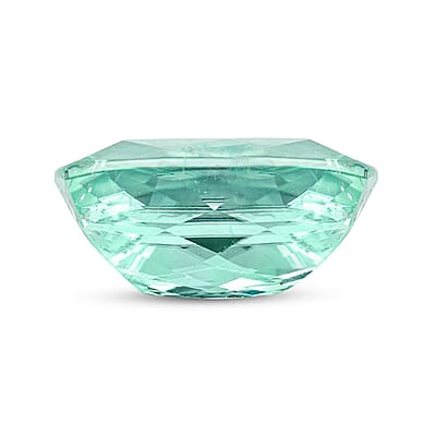 Certified & Appraised AAAA Paraiba Tourmaline (Cush Free Size) With Free Paraiba Book 1.00 ctw