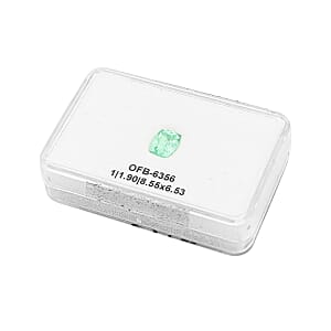 Certified & Appraised AAAA Paraiba Tourmaline (Cush Free Size) With Free Paraiba Book 1.00 ctw