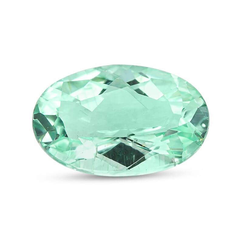Certified and Appraised AAAA Paraiba Tourmaline (Ovl Free Size) 1.00 ctw