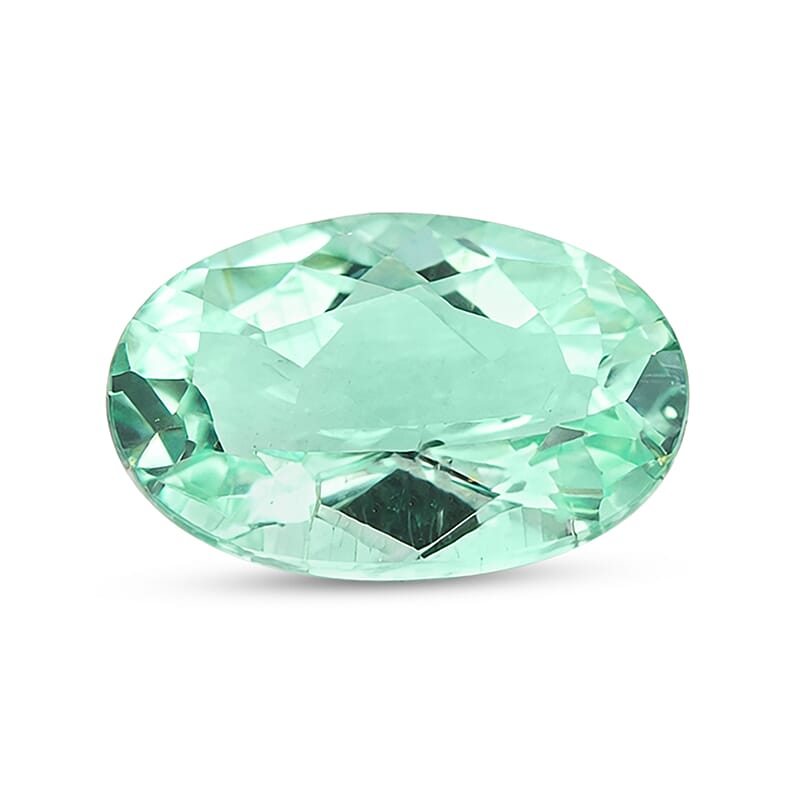Certified and Appraised AAAA Paraiba Tourmaline (Ovl Free Size) 1.00 ctw