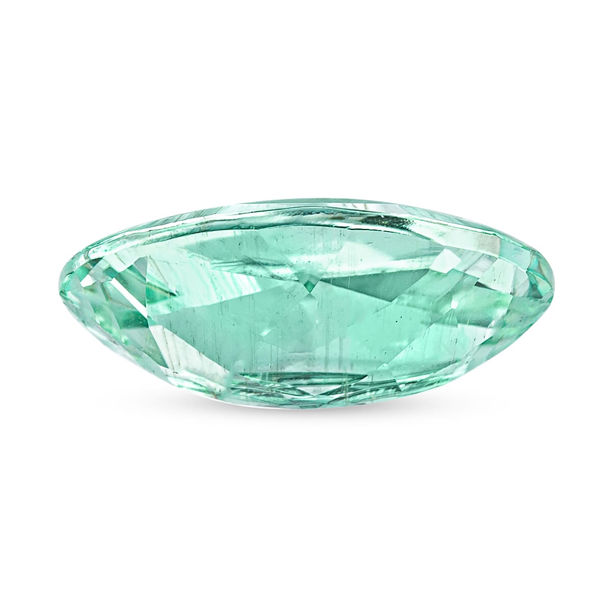 Certified & Appraised AAAA Paraiba Tourmaline (Ovl Free Size) With Free Paraiba Book 1.00 ctw image number 1
