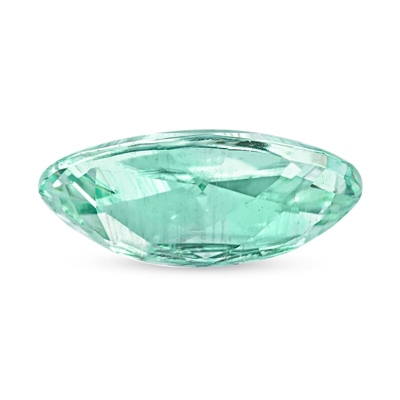 Certified and Appraised AAAA Paraiba Tourmaline (Ovl Free Size) 1.00 ctw