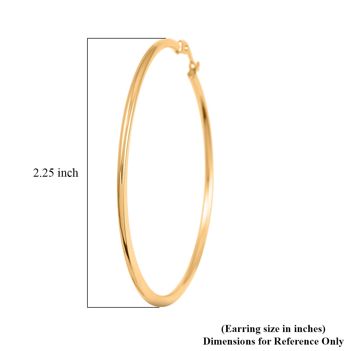 Hoop Earrings in ION Plated YG Stainless Steel image number 4