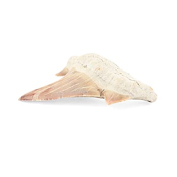Default Title - Product card gallery slide 2 (10178465136953)