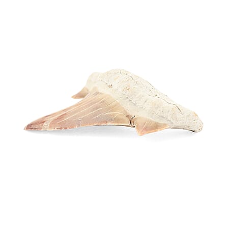 Default Title - Product card gallery slide 2 (10178465136953)