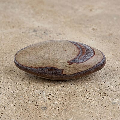 Default Title - Product card gallery slide 2 (10178466939193)