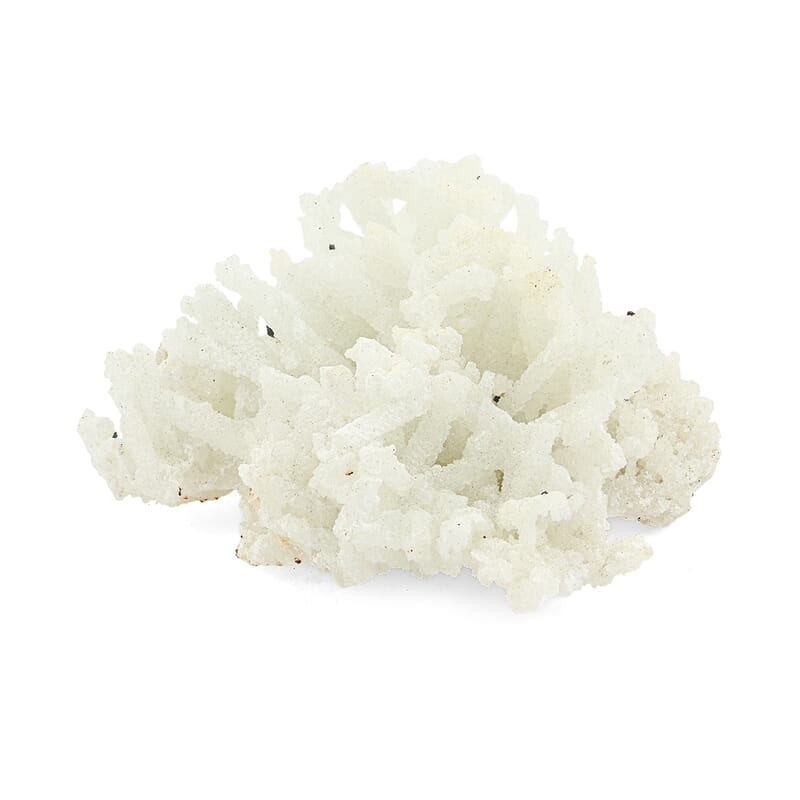 Prehnite L 4950ctw