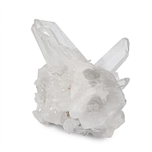 Clear Clusters XS 1100 ctw