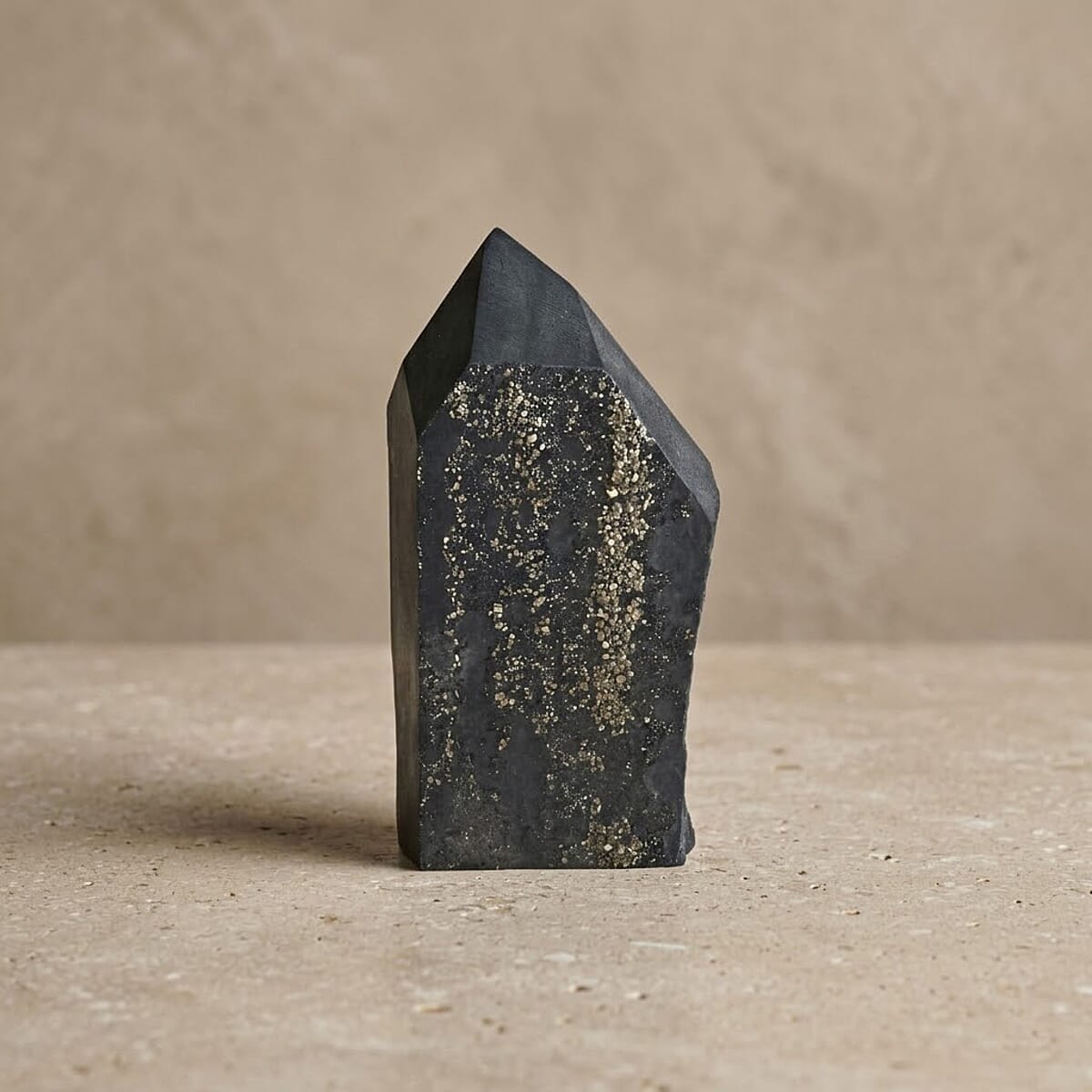 Shungite Pyrite XL 2350 ctw image number 1