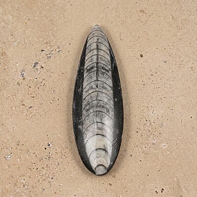 Default Title - Product card gallery slide 2 (10178467627321)