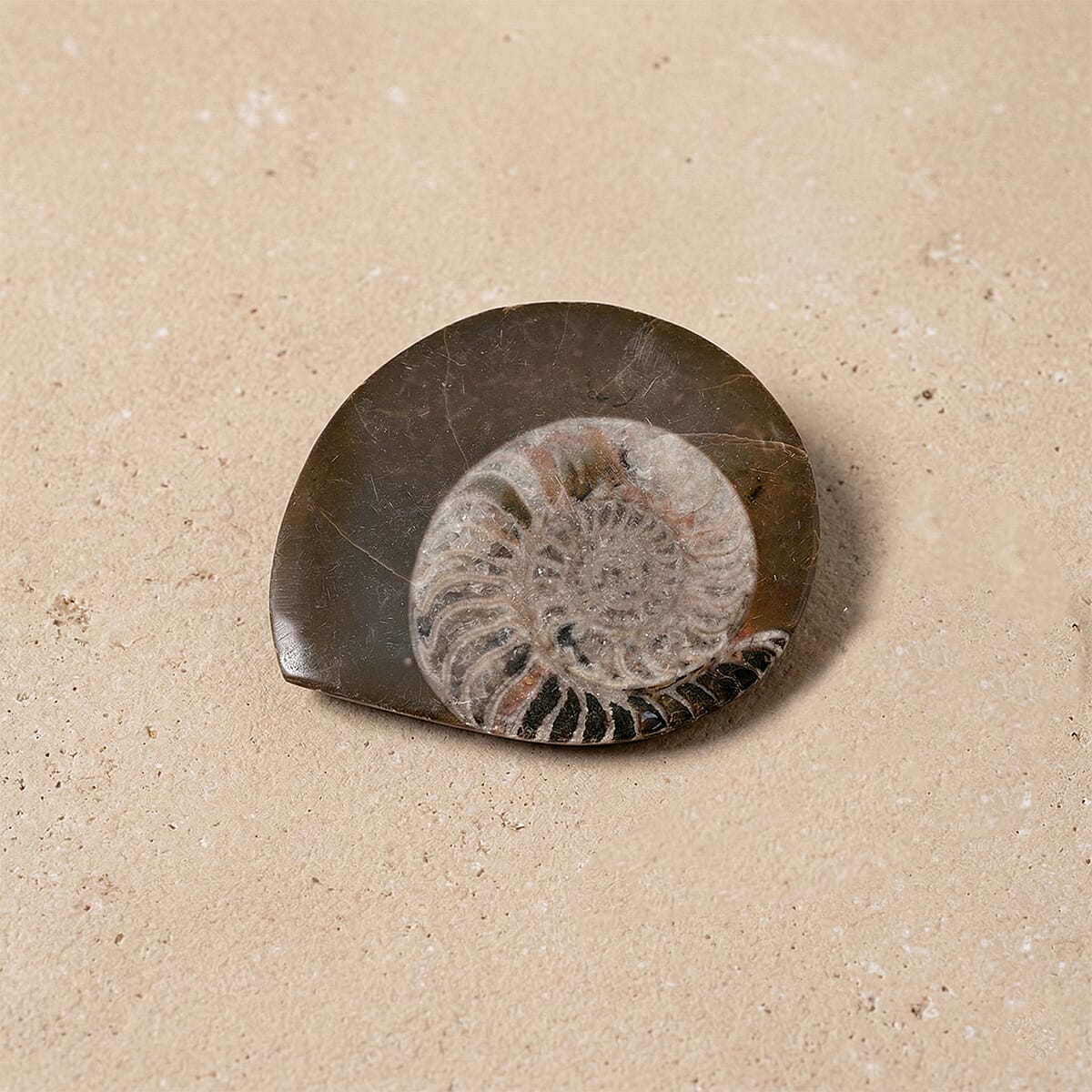 Ammonite S 220 ctw image number 1
