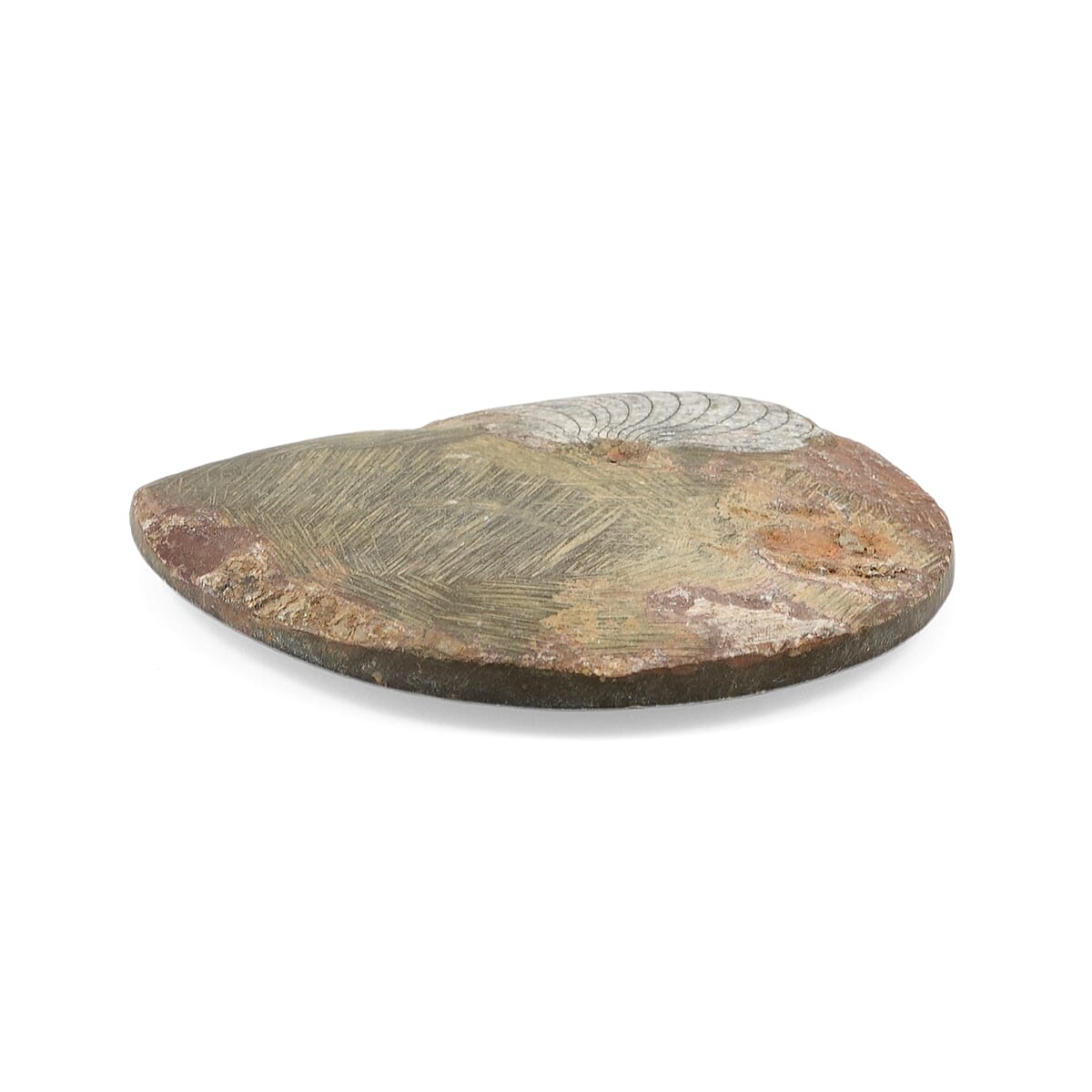 Ammonite S 220 ctw image number 2