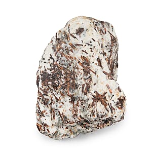 Astrophyllite Rough Specimen L