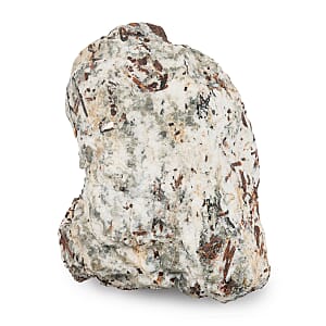 Astrophyllite Rough Specimen L