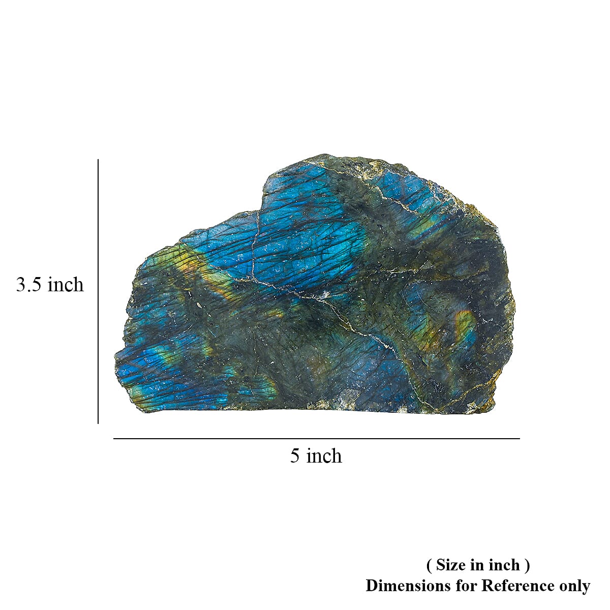Flat Labradorite XL image number 5