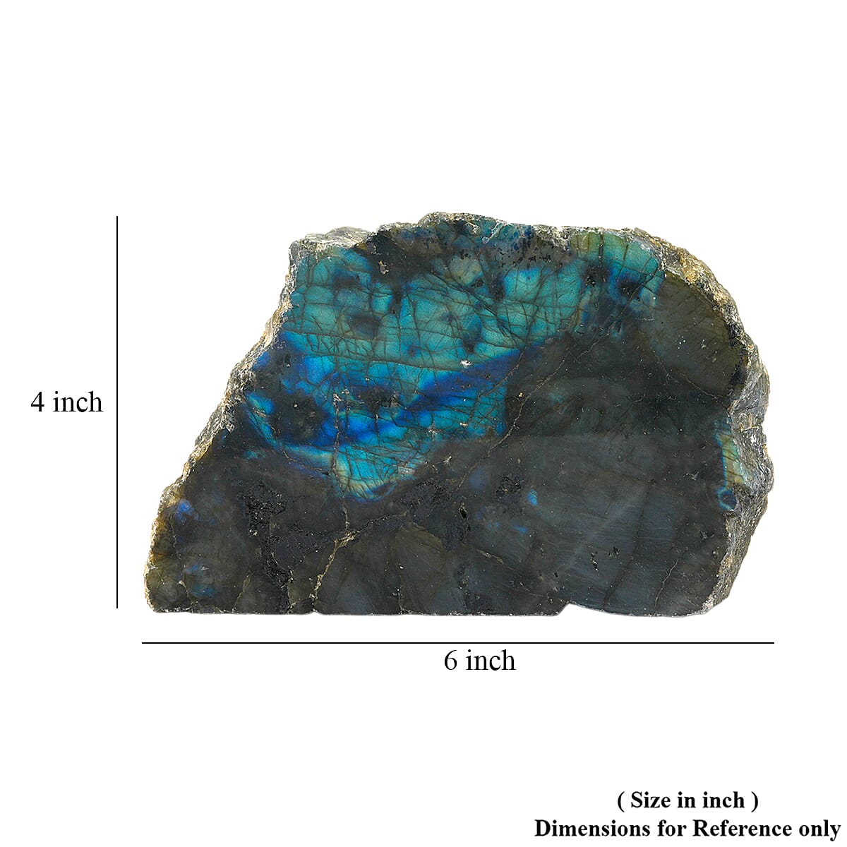 Flat Labradorite XXL image number 4