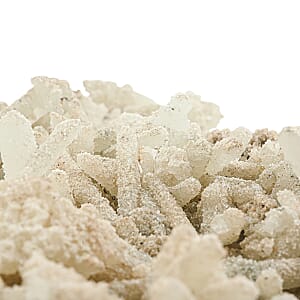 Prehnite 4XL 53500ctw