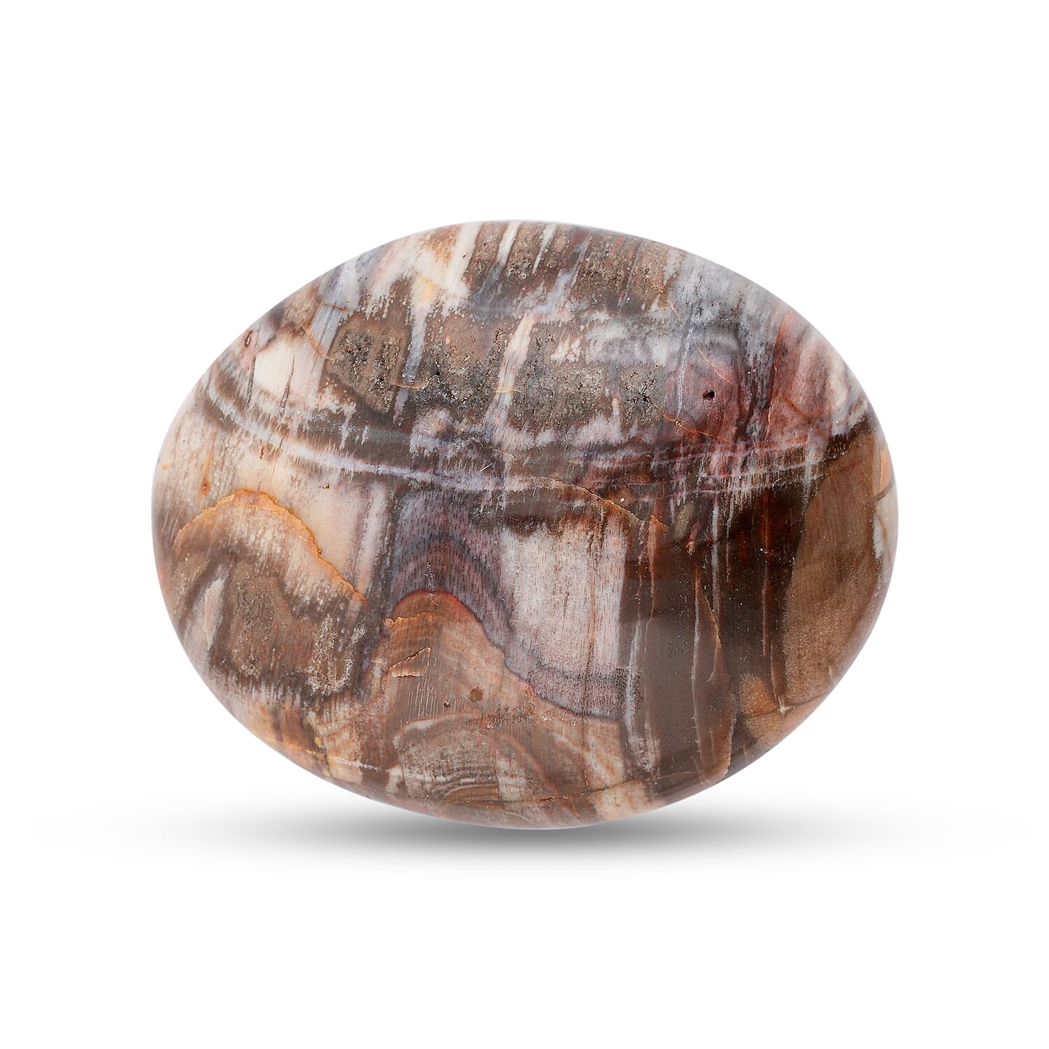 Petrified Wood Gallet -M