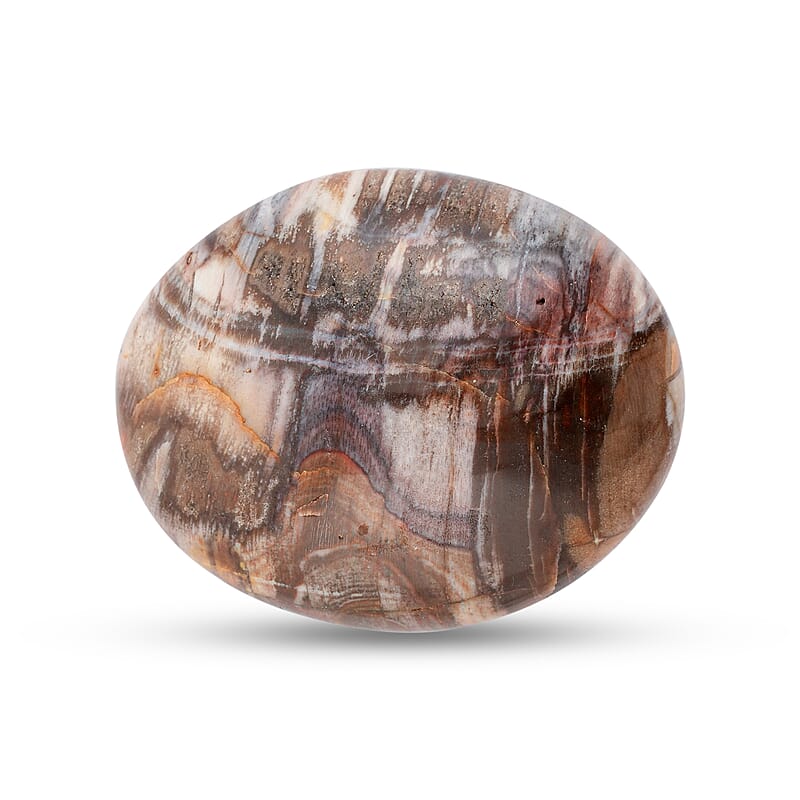 Petrified Wood Gallet -M