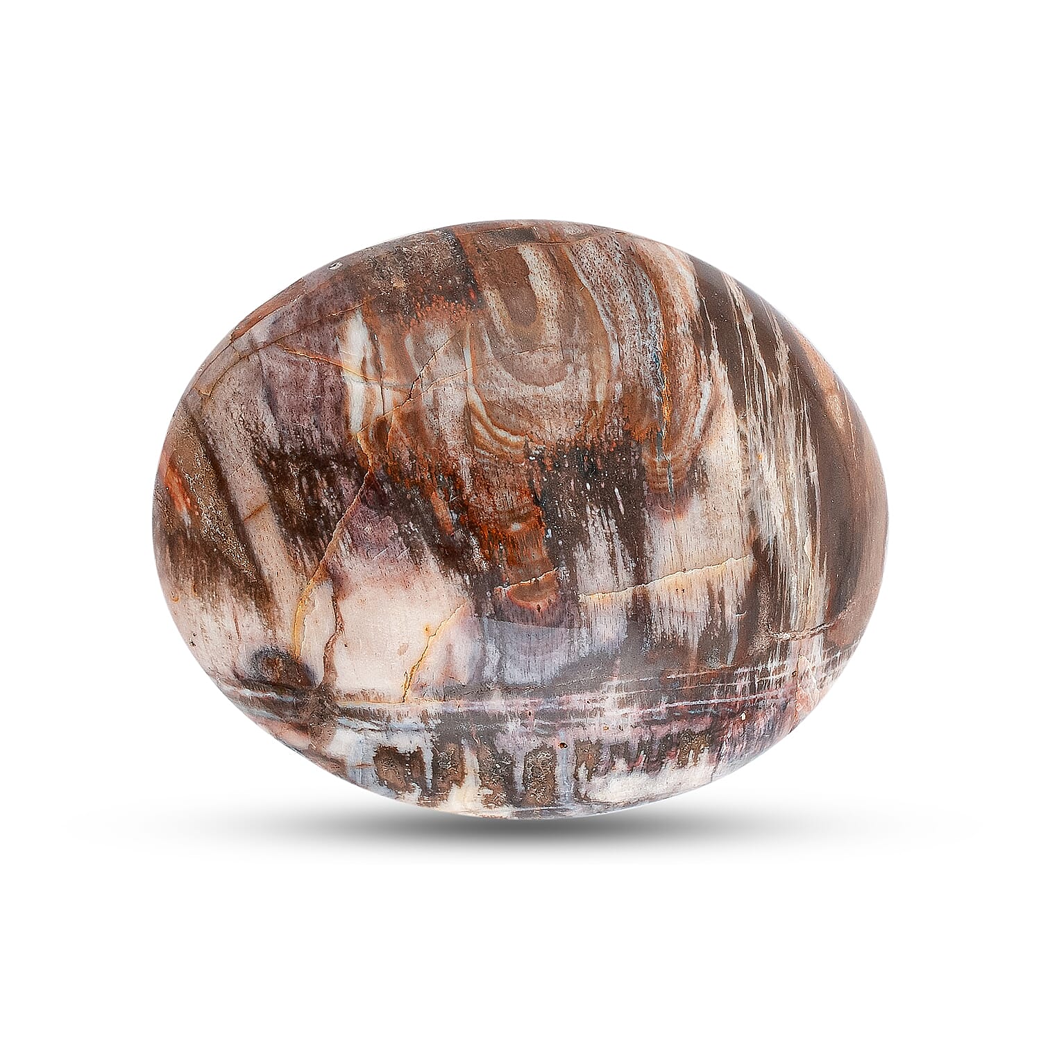 Petrified Wood Gallet -M